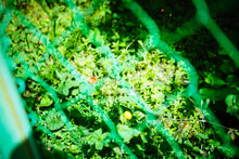 画像をギャラリービューアに読み込む, オリジナルLightroomプリセット After Hours