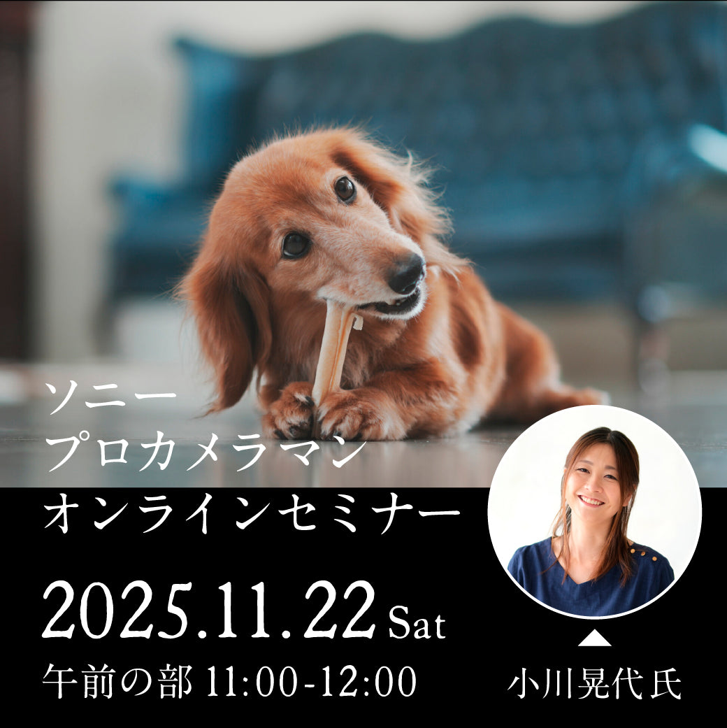 2025年11月22日(土)開催「ソニープロカメラマンオンラインセミナー - 小川晃代氏- 午前の部」
