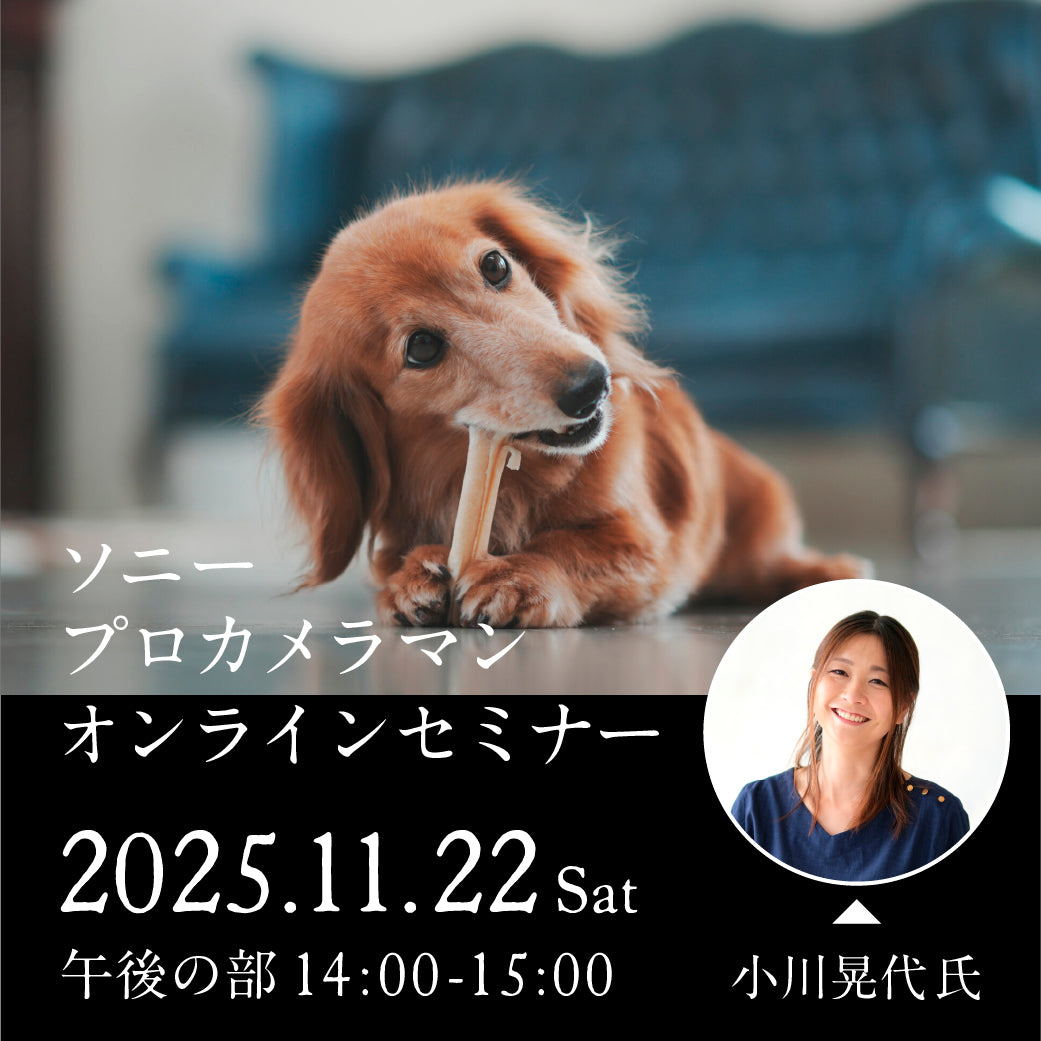 2025年11月22日(土)開催「ソニープロカメラマンオンラインセミナー - 小川晃代氏- 午後の部」